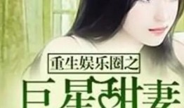 娱乐圈不爆料同人小说,不为人知的同人世界