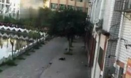 襄阳大院爆料案件真相视频,揭秘背后惊人内幕