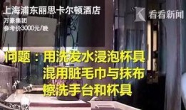 酒店的视频爆料怎么做,视频爆料背后的惊人真相